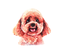 Trại chó Lâm Ngọc Diệu